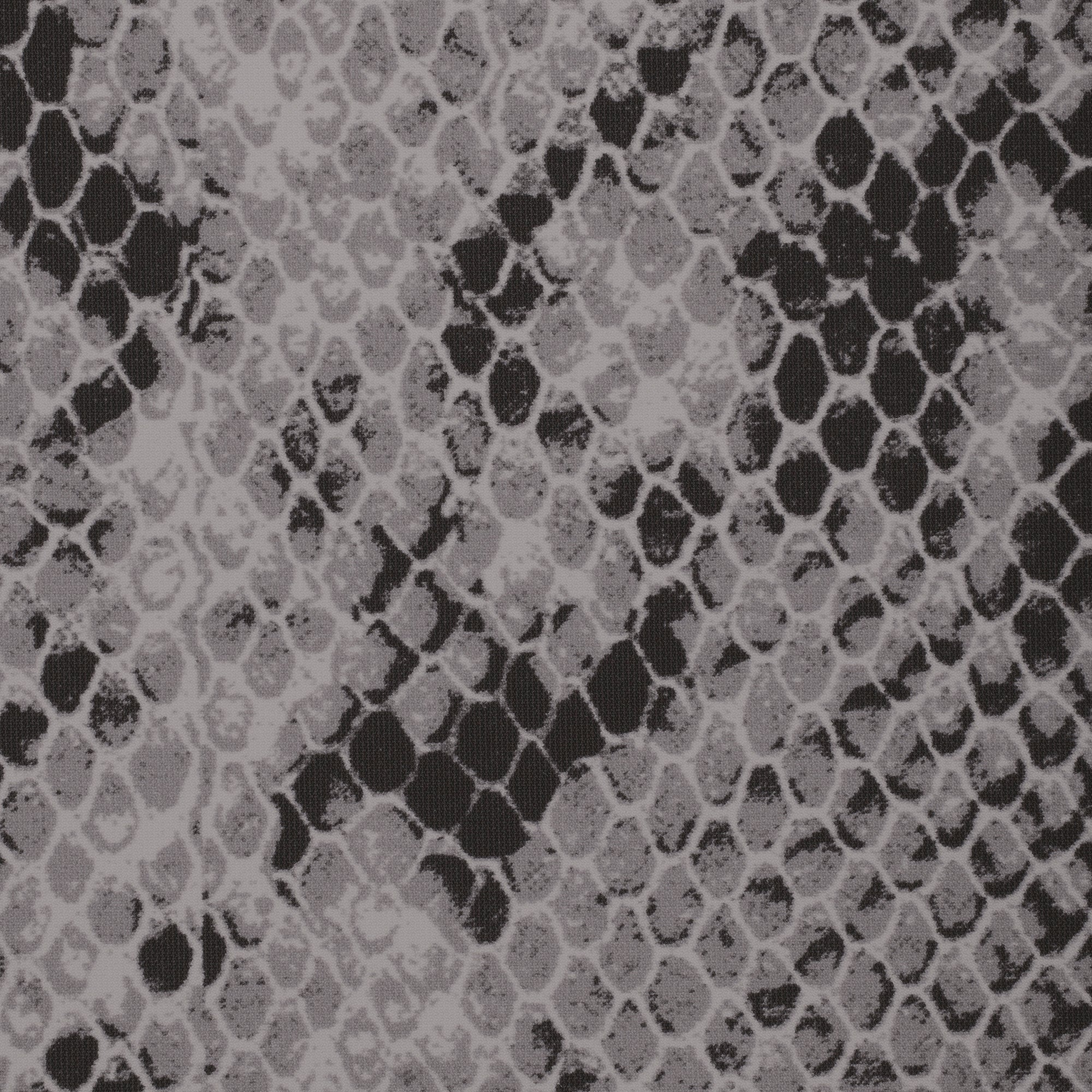 FITS EVERYBODY T-SHIRT | SHADOW SNAKE PRINT - Image 5