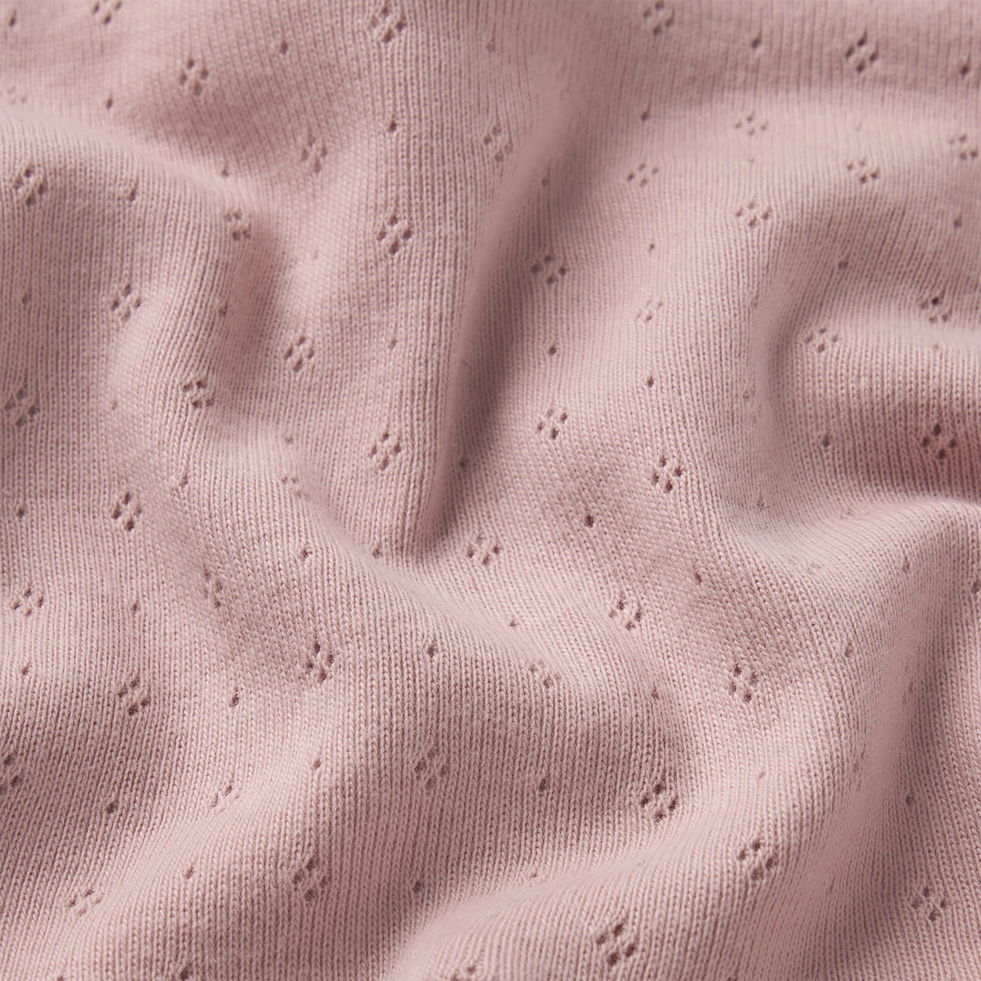HEAVY POINTELLE BOATNECK TEE | MORGANITE - Image 6